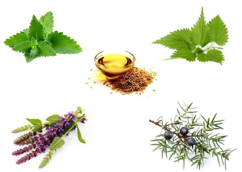 პიტნა, ჭინჭარი, thyme, ღვია და თეთრეულის ზეთი